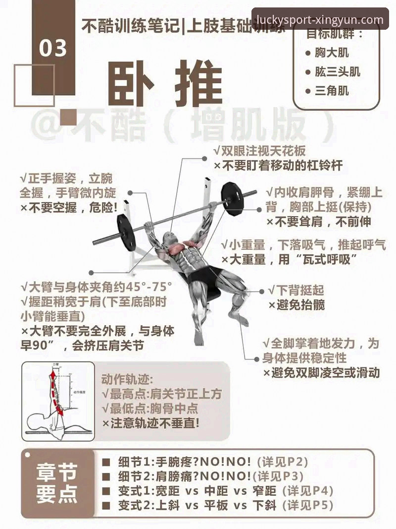 杏运体育使用教程：新手必学的5个高效玩法